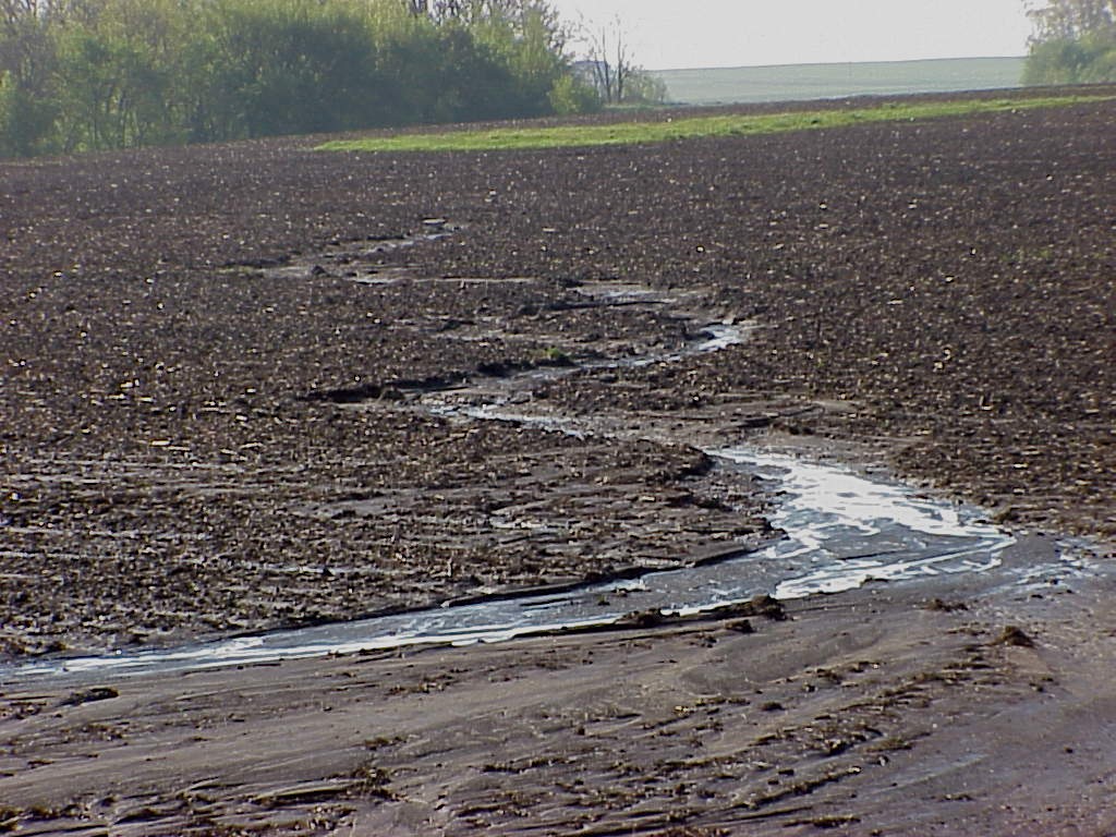 Bare soil and lots of rain PlantDOC