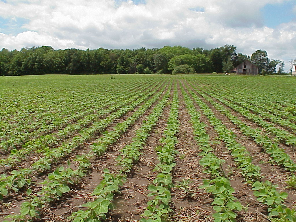 Conservation Tillage System, French Creek Farms, Manitowoc