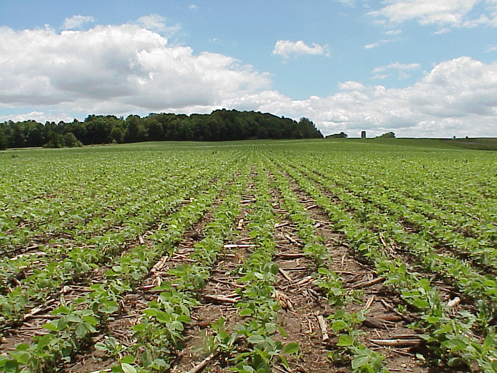 Conservation Tillage System, French Creek Farms, Manitowoc