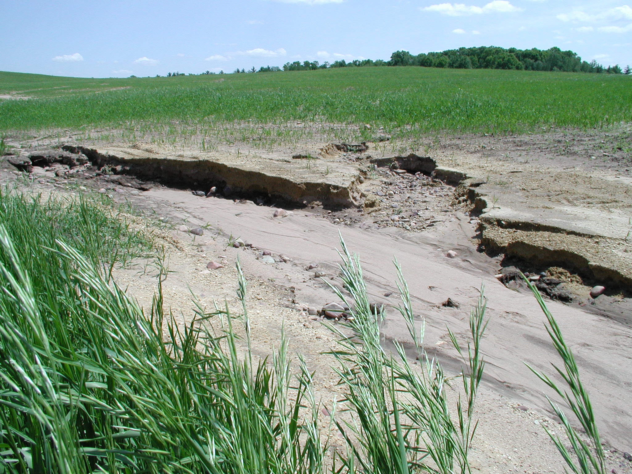 Agents Of Soil Erosion